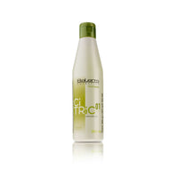 Citric Balance Shampoo Salerm